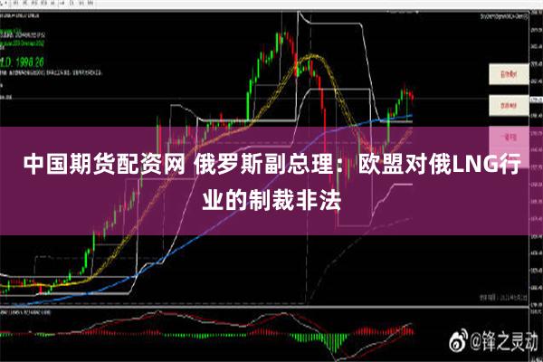 中国期货配资网 俄罗斯副总理：欧盟对俄LNG行业的制裁非法