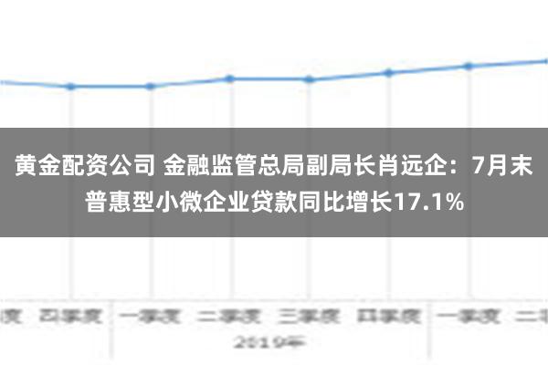 黄金配资公司 金融监管总局副局长肖远企：7月末普惠型小微企业贷款同比增长17.1%