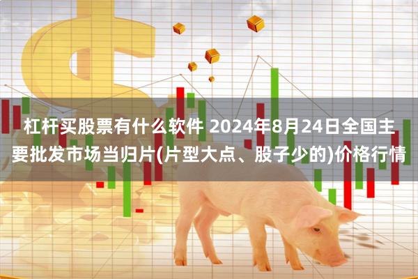 杠杆买股票有什么软件 2024年8月24日全国主要批发市场当归片(片型大点、股子少的)价格行情