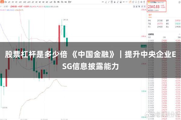 股票杠杆是多少倍 《中国金融》｜提升中央企业ESG信息披露能力