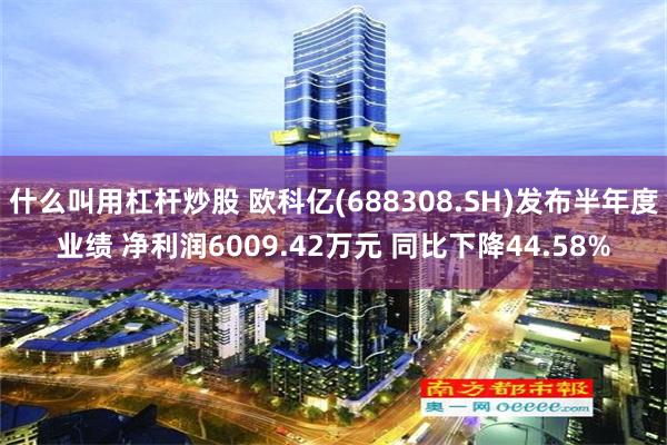 什么叫用杠杆炒股 欧科亿(688308.SH)发布半年度业绩 净利润6009.42万元 同比下降44.58%