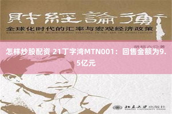 怎样炒股配资 21丁字湾MTN001：回售金额为9.5亿元