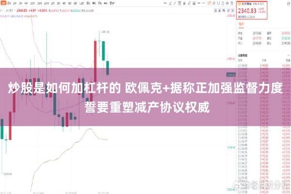 炒股是如何加杠杆的 欧佩克+据称正加强监督力度 誓要重塑减产协议权威