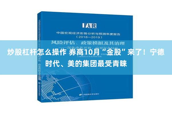 炒股杠杆怎么操作 券商10月“金股”来了！宁德时代、美的集团最受青睐