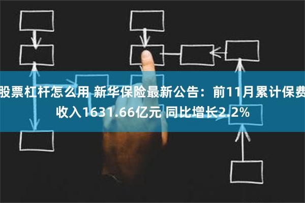 股票杠杆怎么用 新华保险最新公告：前11月累计保费收入1631.66亿元 同比增长2.2%