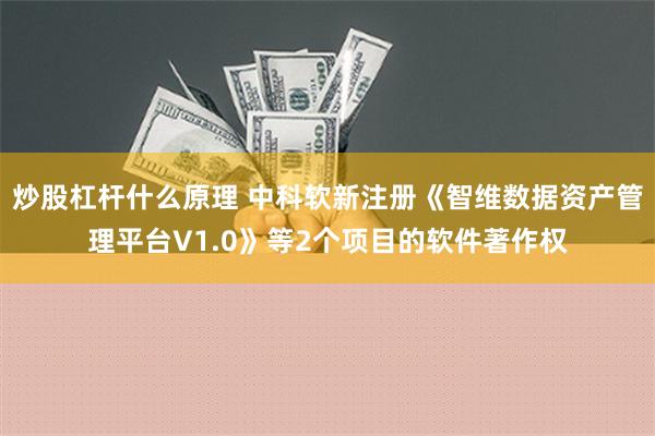 炒股杠杆什么原理 中科软新注册《智维数据资产管理平台V1.0》等2个项目的软件著作权