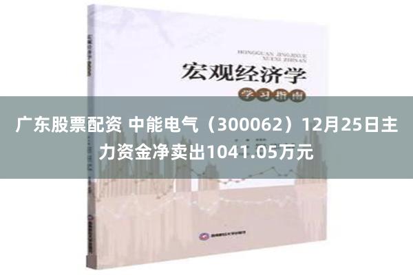 广东股票配资 中能电气（300062）12月25日主力资金净卖出1041.05万元