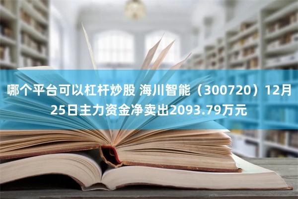 哪个平台可以杠杆炒股 海川智能（300720）12月25日主力资金净卖出2093.79万元