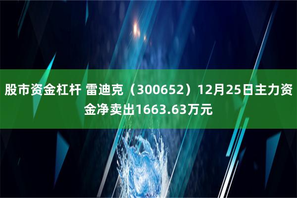 股市资金杠杆 雷迪克（300652）12月25日主力资金净卖出1663.63万元