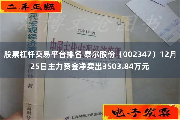 股票杠杆交易平台排名 泰尔股份（002347）12月25日主力资金净卖出3503.84万元