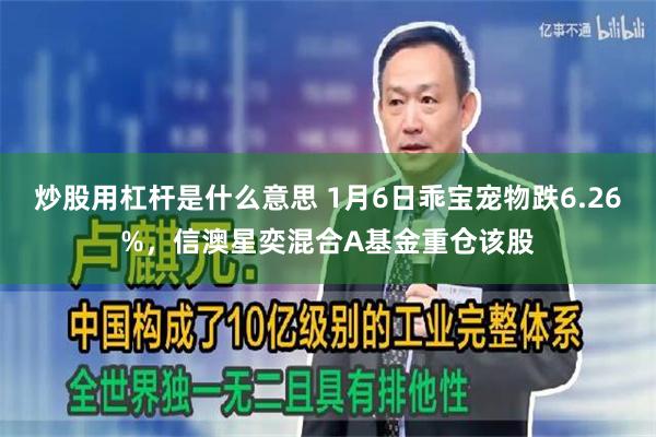 炒股用杠杆是什么意思 1月6日乖宝宠物跌6.26%，信澳星奕混合A基金重仓该股