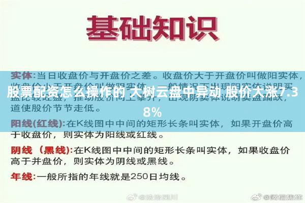 股票配资怎么操作的 大树云盘中异动 股价大涨7.38%